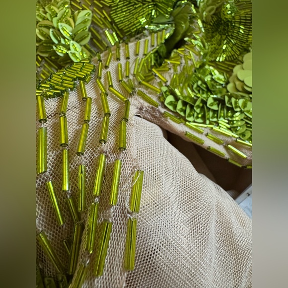 Rachel Gilbert New Pierre Embellished Gown Dress Floral Beaded Strapless Size 4 - Picture 12 of 12